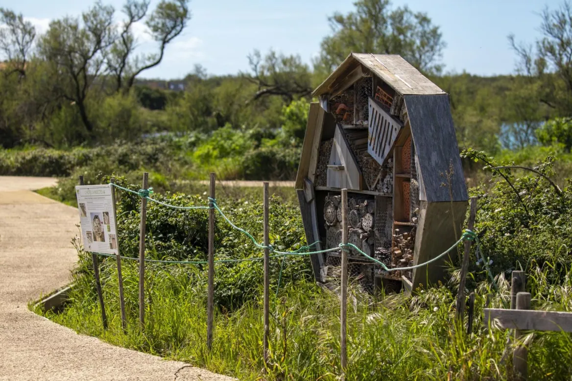 This site is recognized as an Espace Natural Sensible (n°70 Dunes d'Anglet), managed by the commune of Anglet. Included in the "Natura 2000 L'Adour" zone, it aims to reconnect visitors with nature through a network of footpaths.