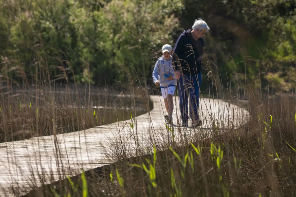 This site is recognized as an Espace Natural Sensible (n°70 Dunes d'Anglet), managed by the commune of Anglet. Included in the "Natura 2000 L'Adour" zone, it aims to reconnect visitors with nature through a network of footpaths.
