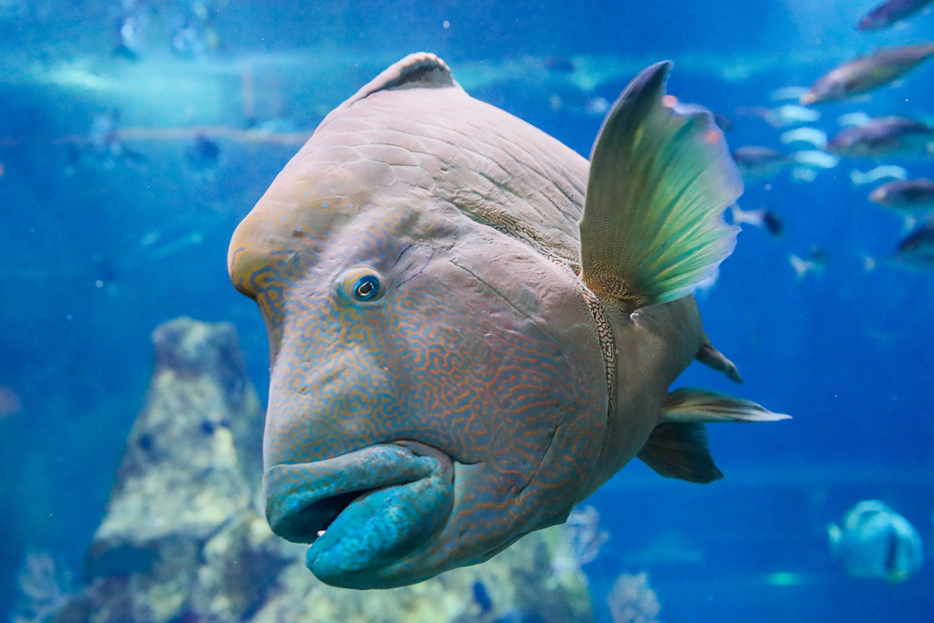 Biarritz Aquarium