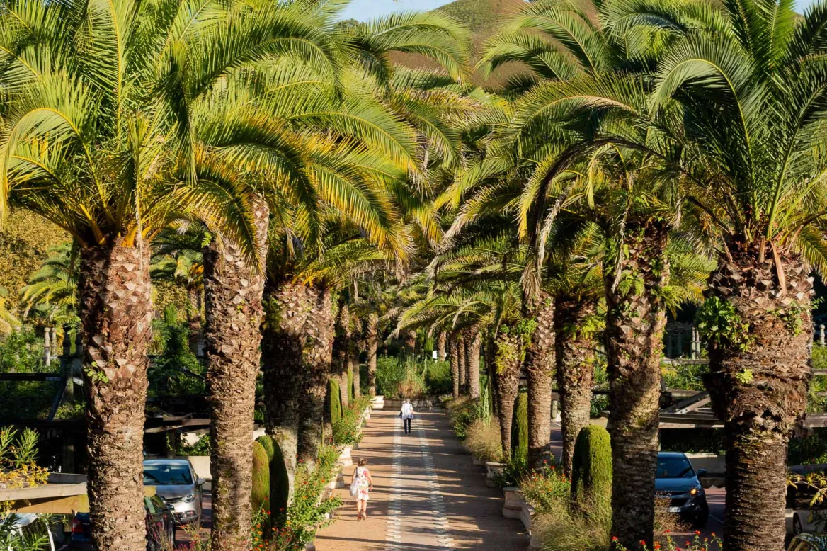 Cambo-les-Bains