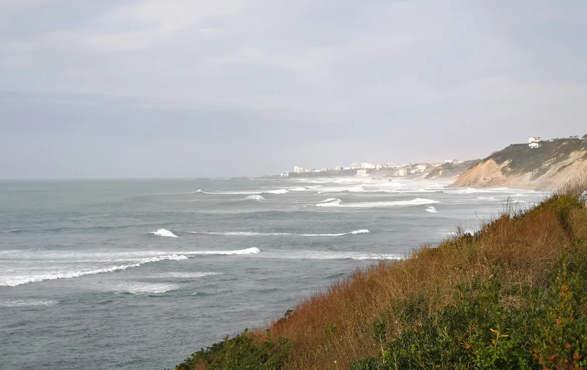 Coastal path