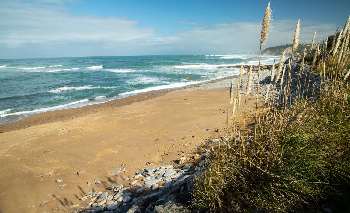 Cenitz Beach