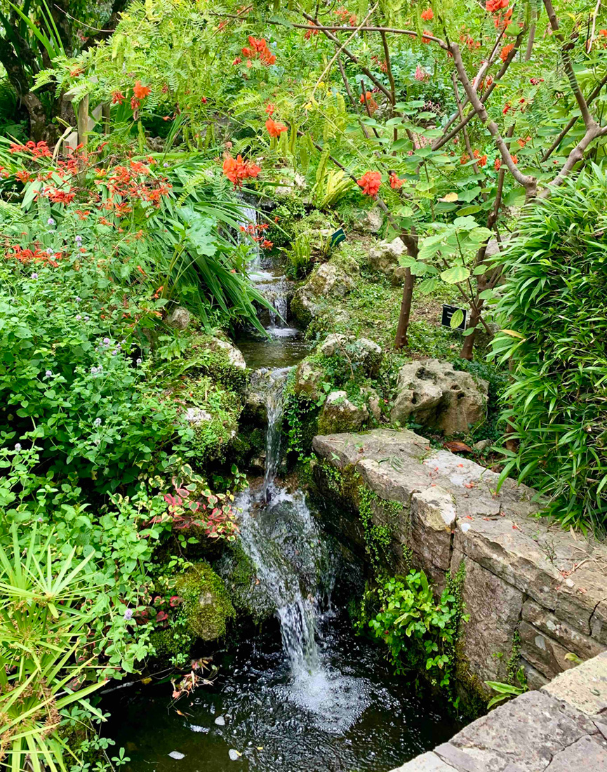 El jardín botánico de Bayona, un lugar lleno de encanto Guide du Pays