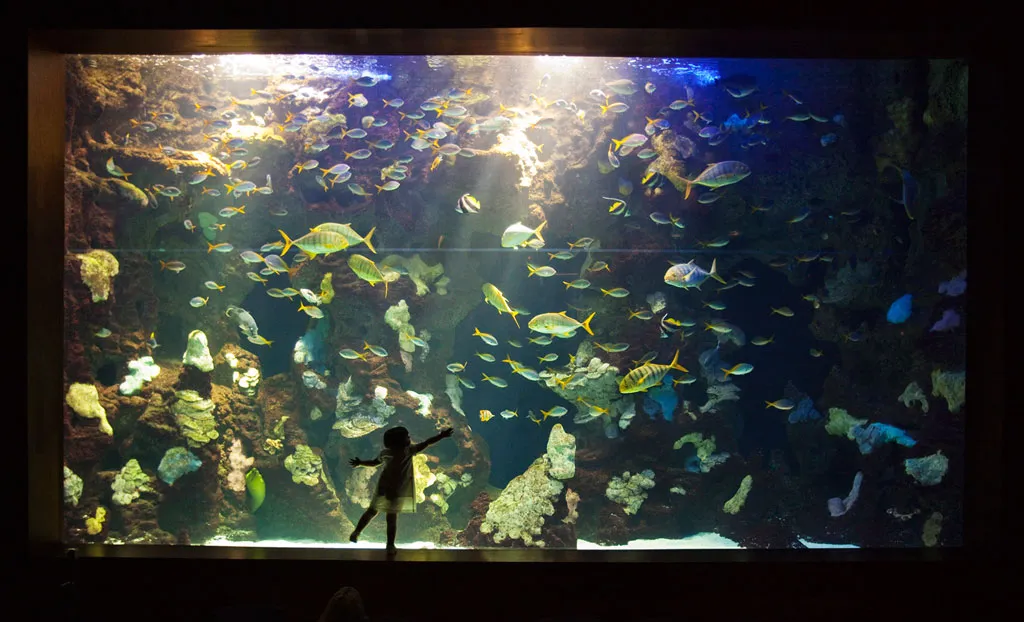 Aquarium de San Sebastian