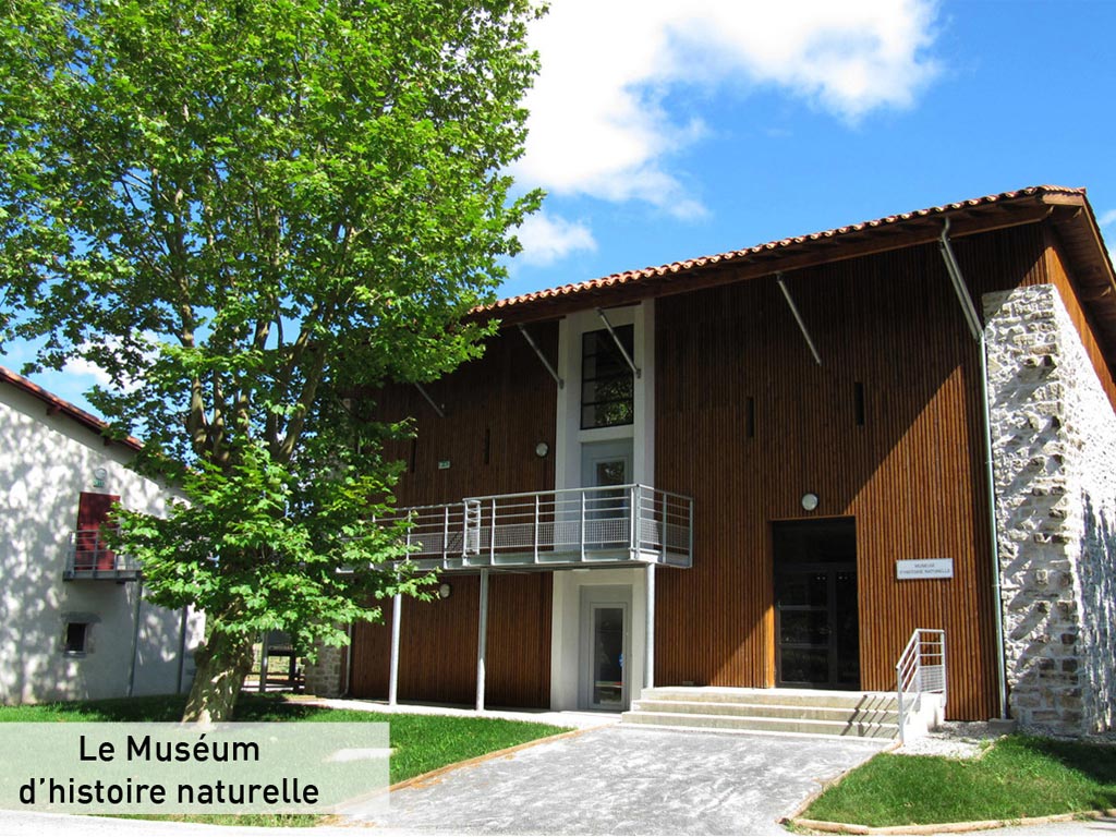 Museum Histoire Naturelle Bayonne