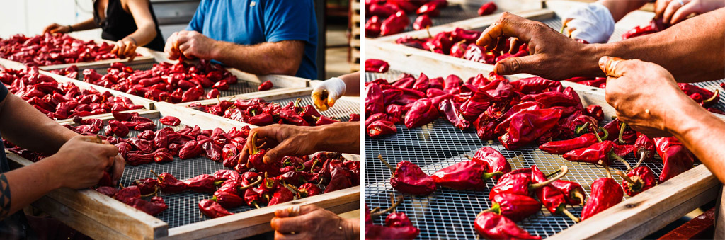 Piment d'espelette