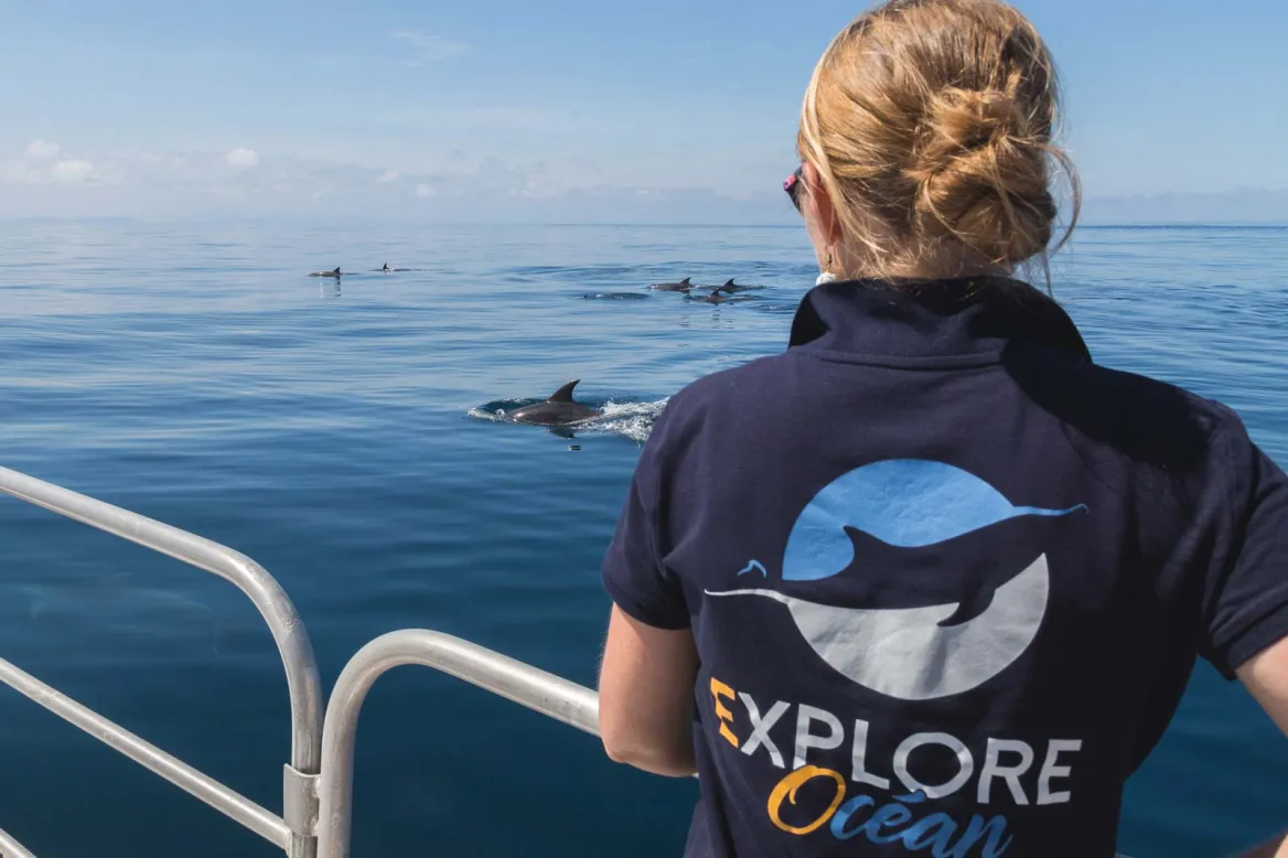 Explore Ocean