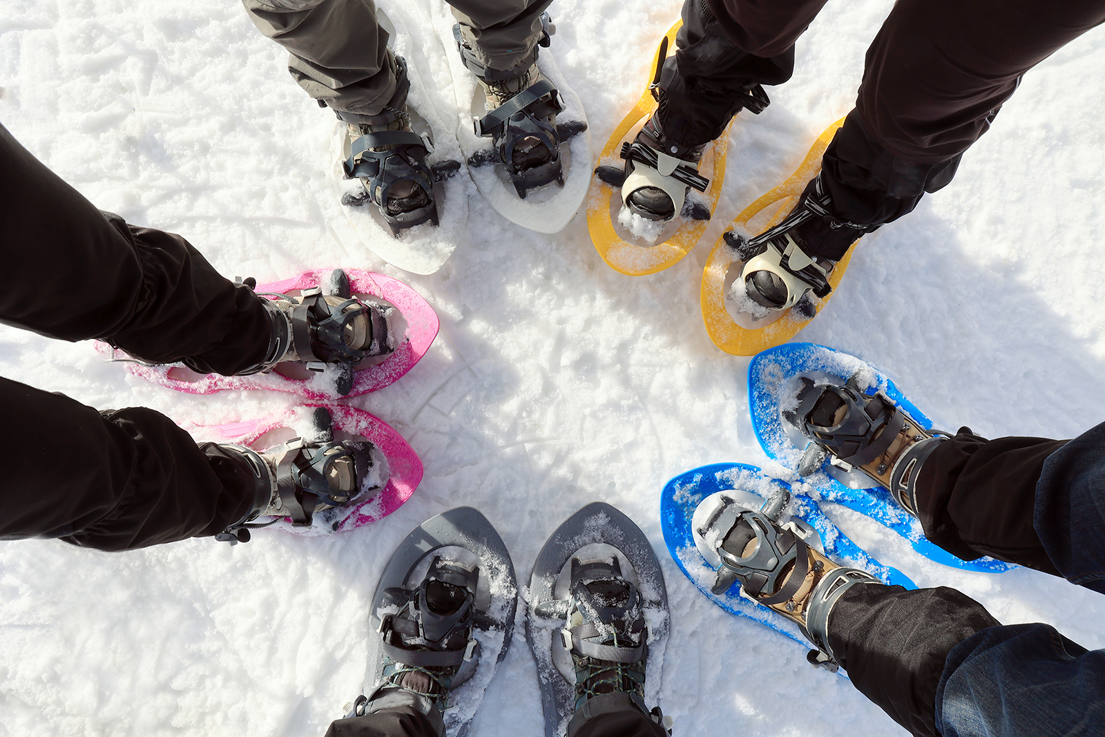 Snowshoeing session
