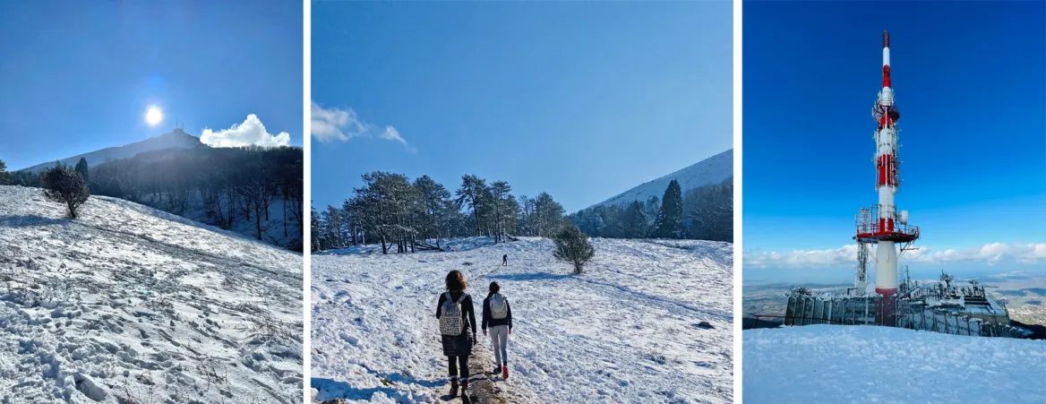 winter sports