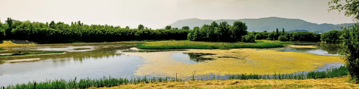 Les Marais de Txingudi