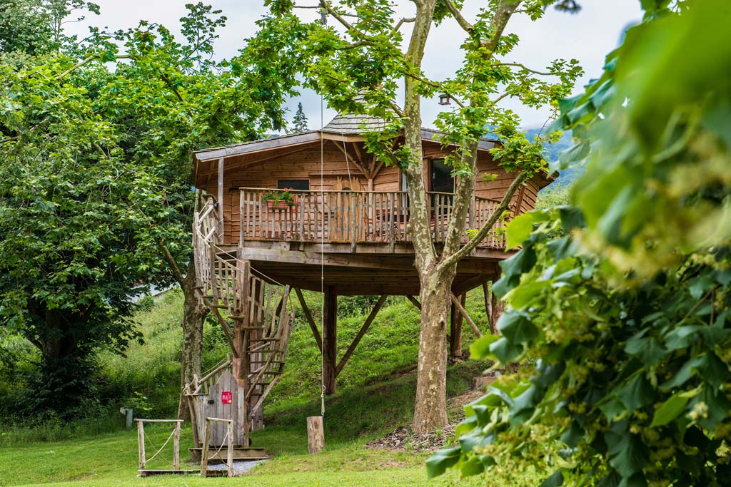The Andreinia Treehouse