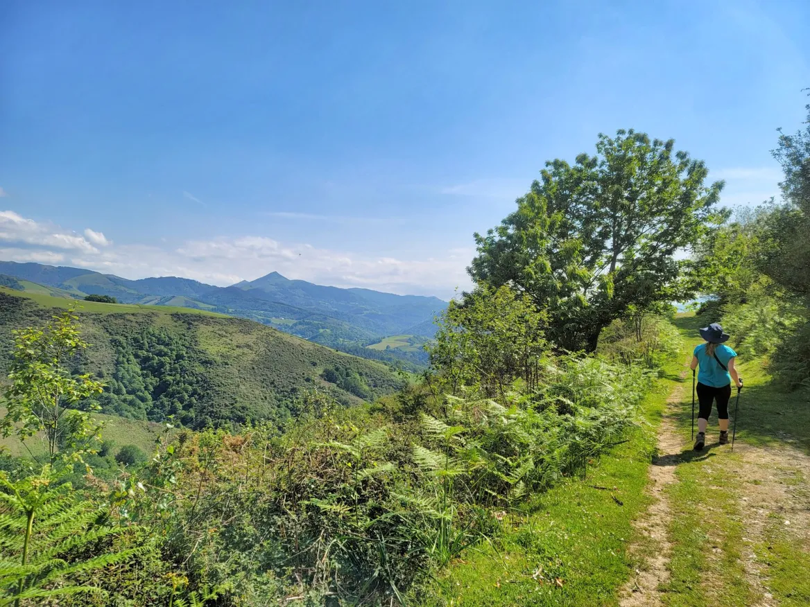 view