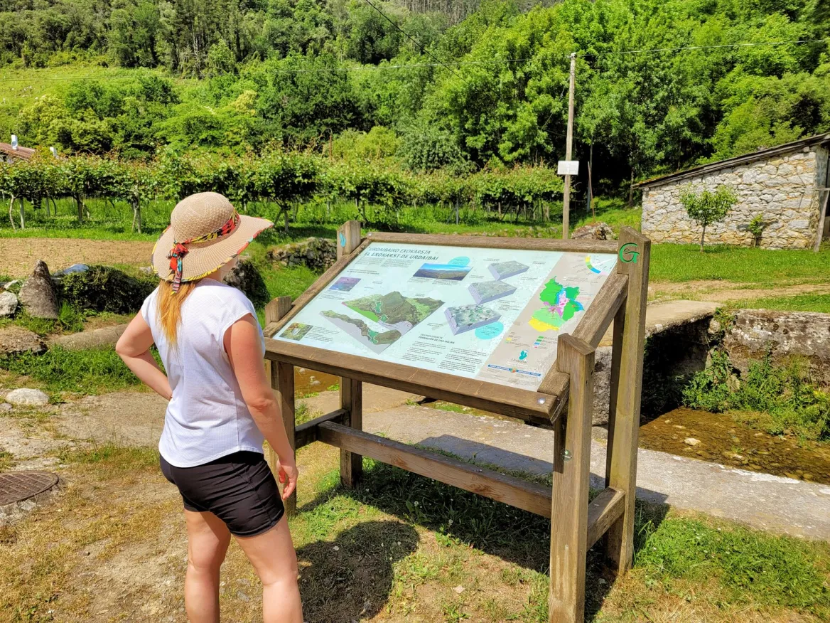 Bosque de Oma