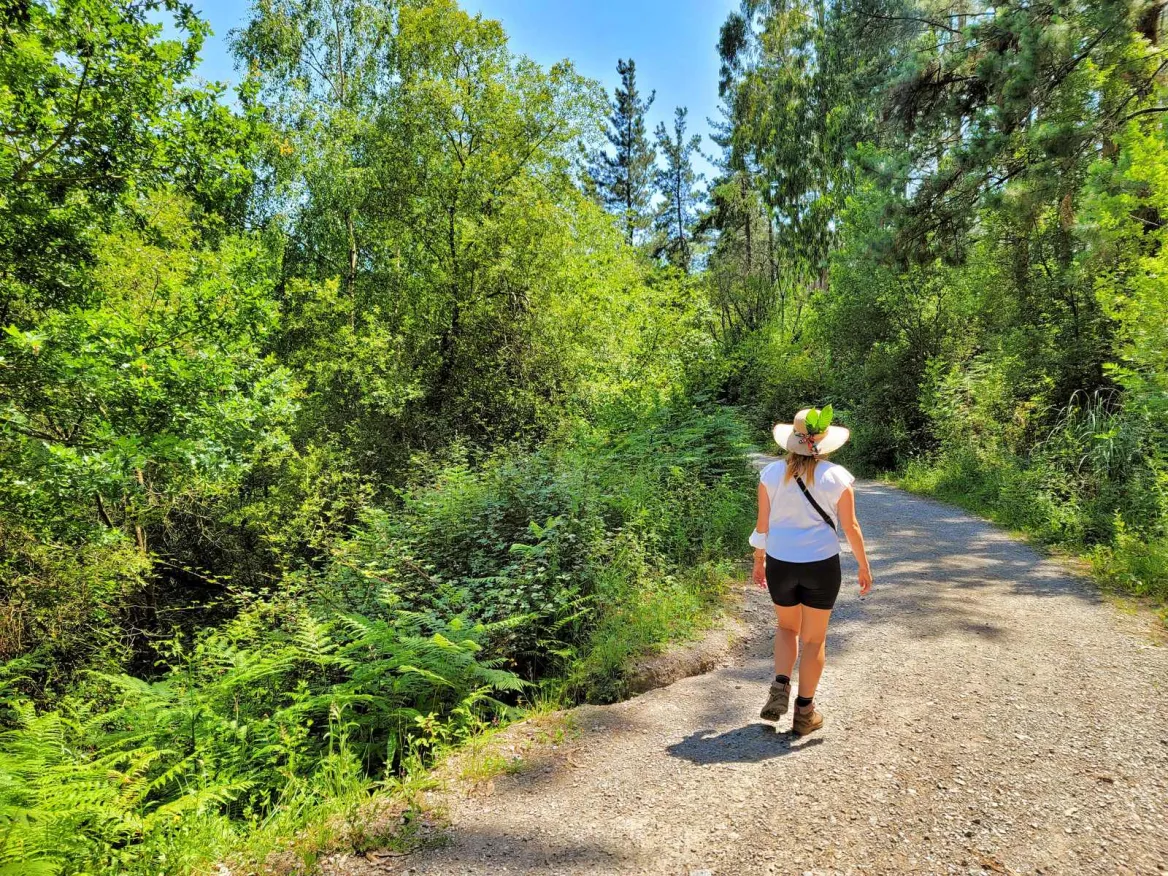 Bosque de Oma