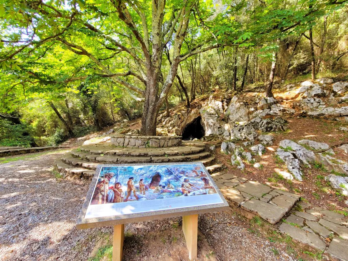 Bosque de Oma