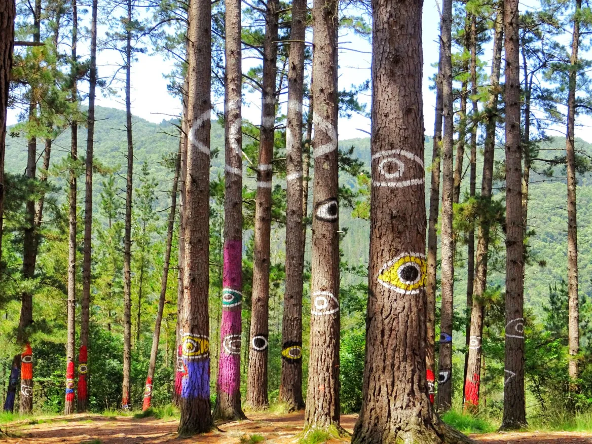 Bosque de Oma