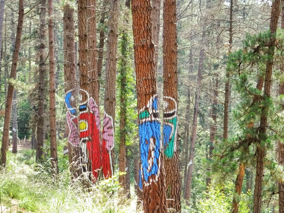 Bosque de Oma