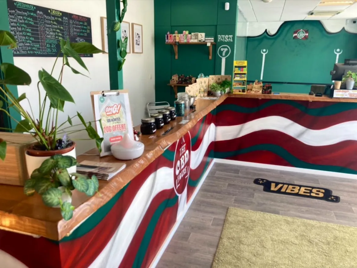 CBD House Hendaye