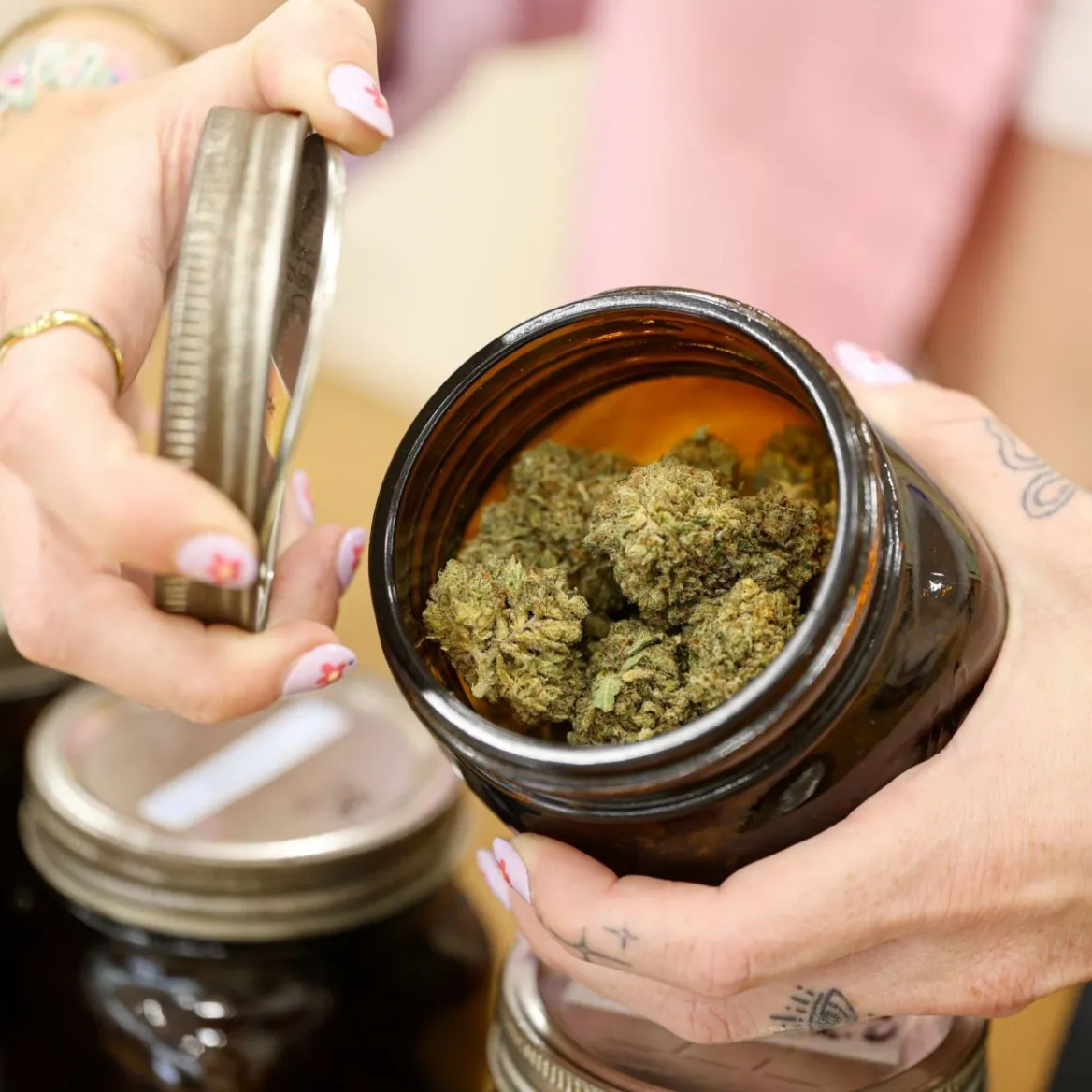 Fleur de Cannabis CBD House