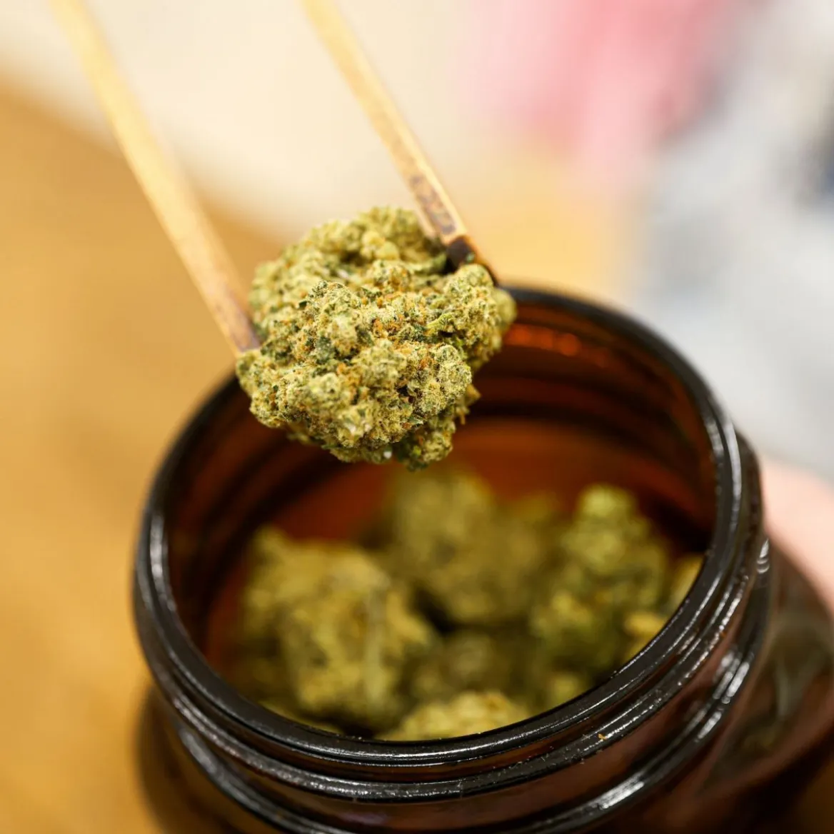 CBD House