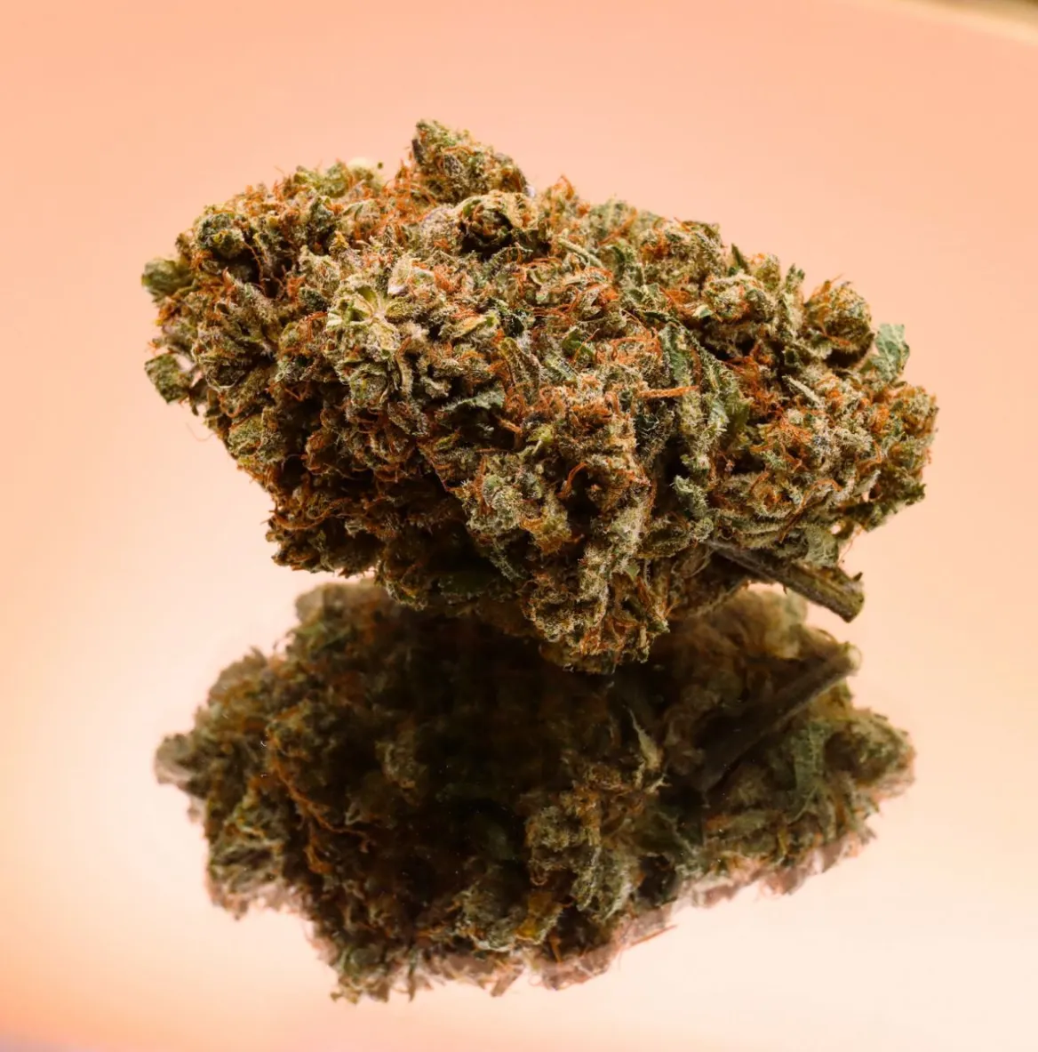 CBD House Cannabis Flower