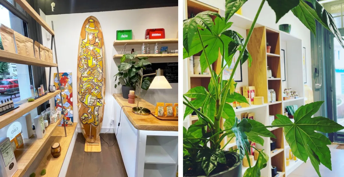 Shop CBD House Saint-Jean-de-Luz