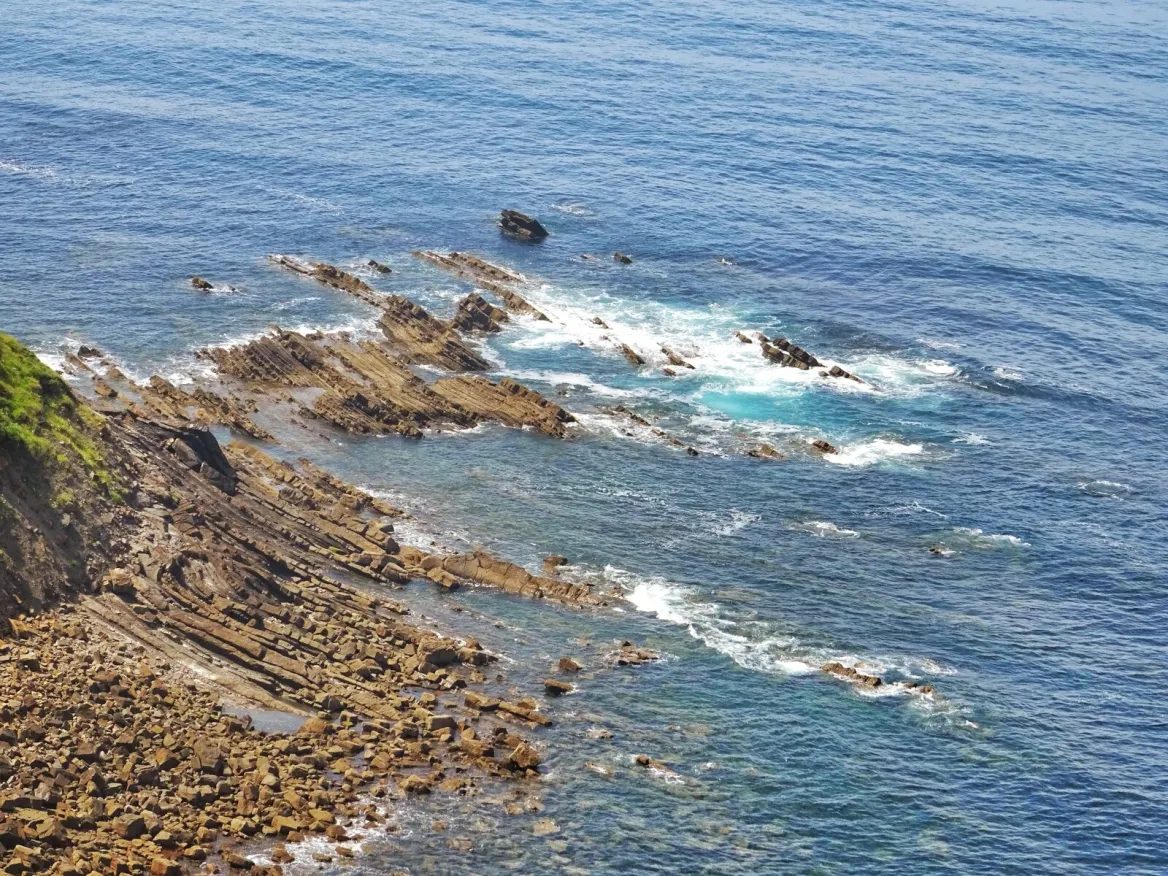 Flysch