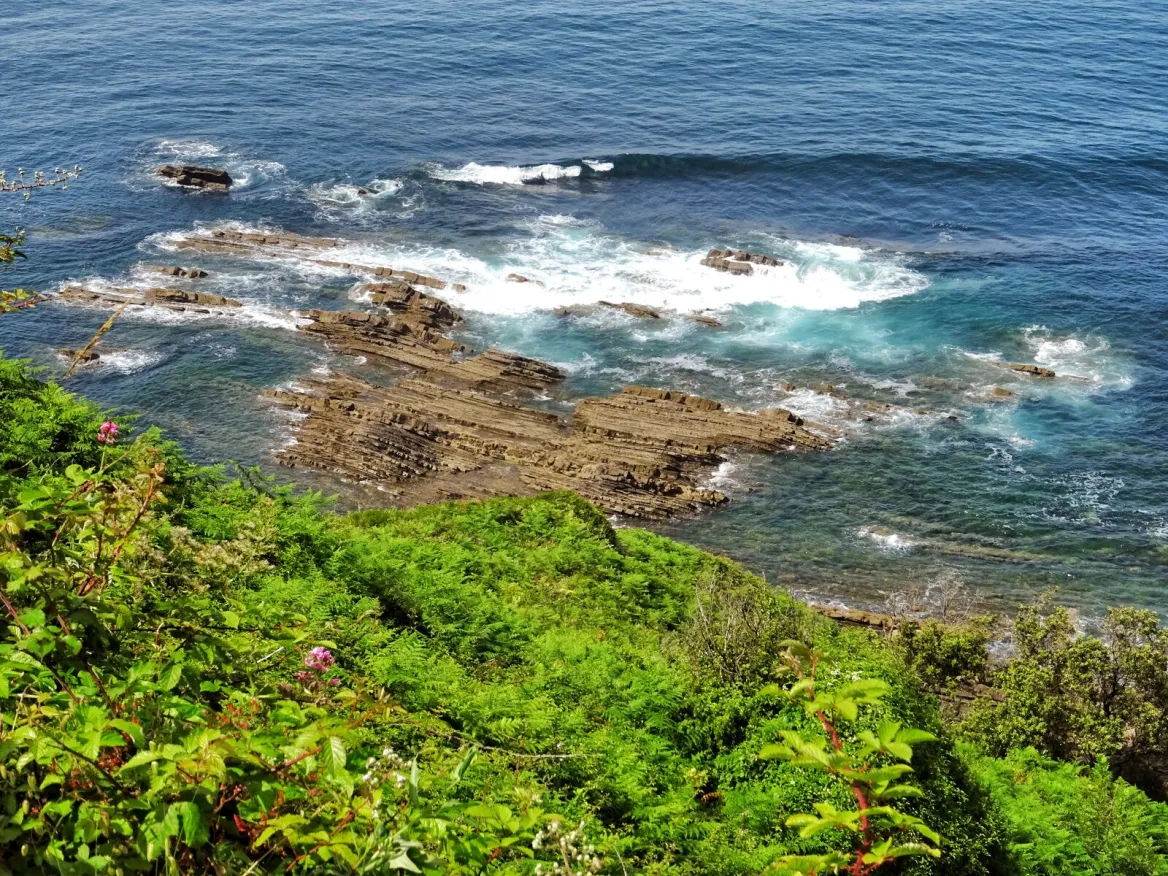 Flysch