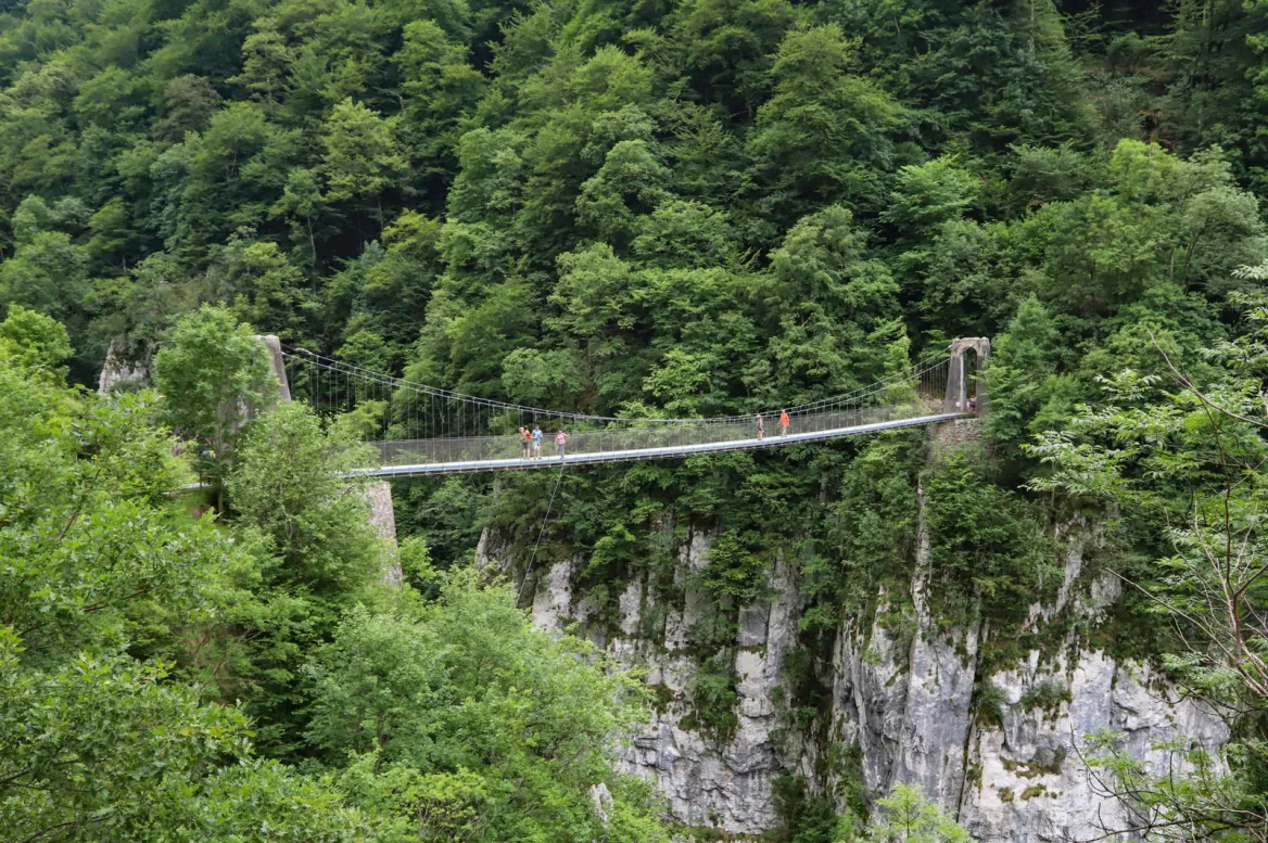 La passerelle d’Holzarte