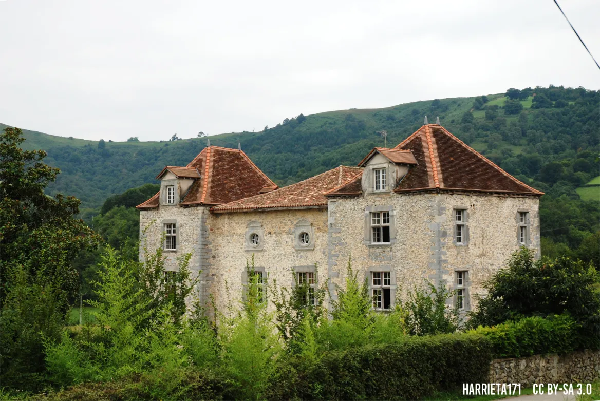 Castle of Olce