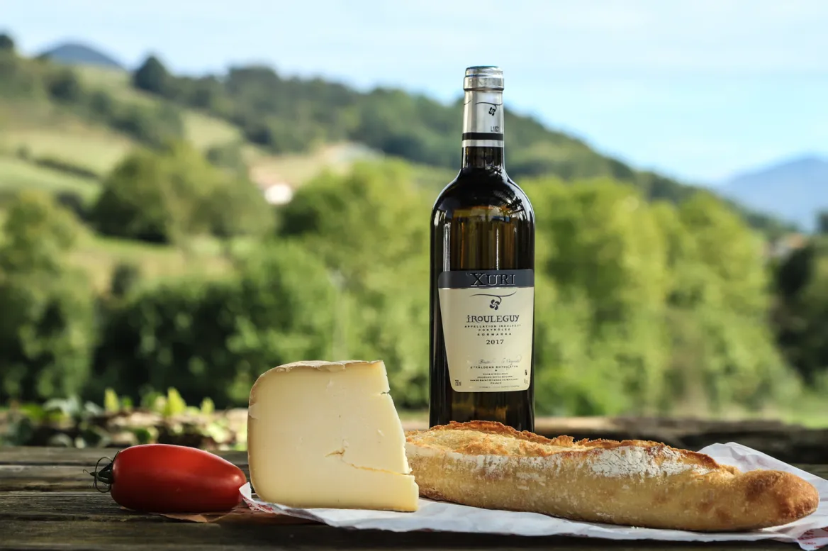 Discover the wines of Irouléguy / Photo Lesley Williamson