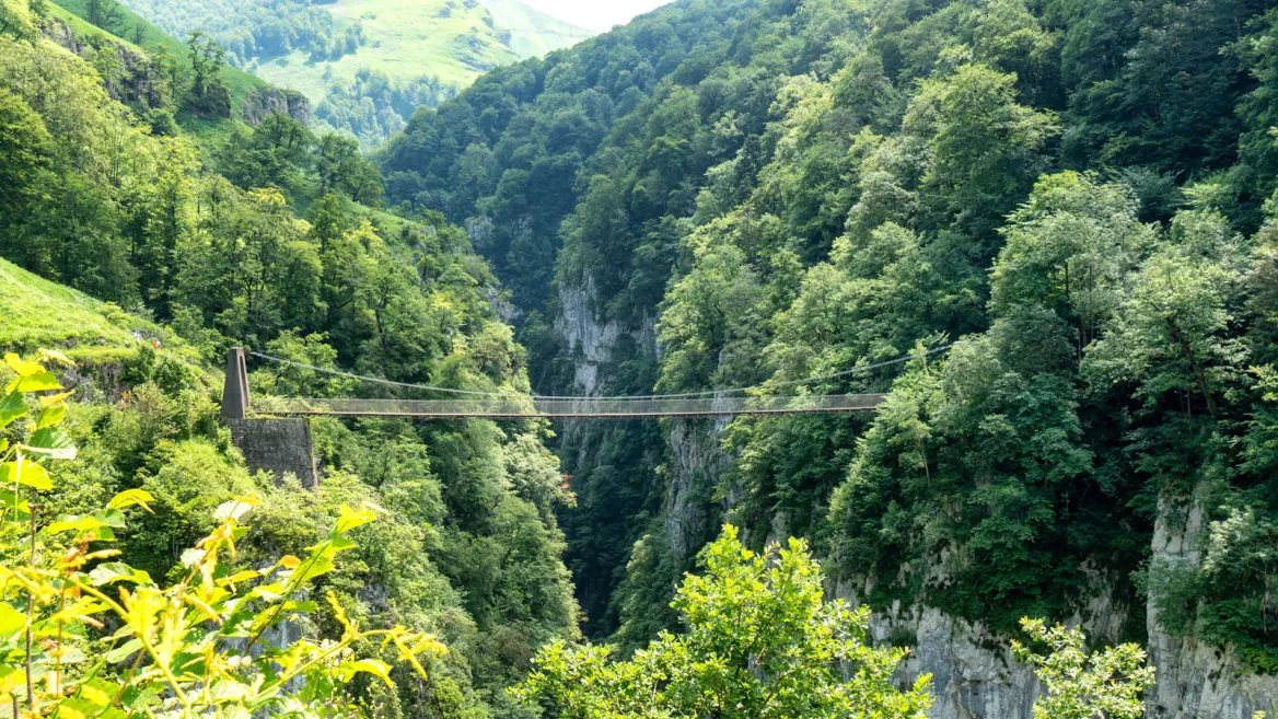 The Footbridge of Holzarte / Photo Philipimage AdobeStock