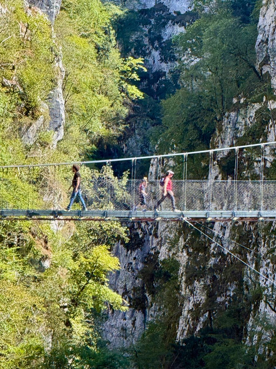 Holzarte Footbridge