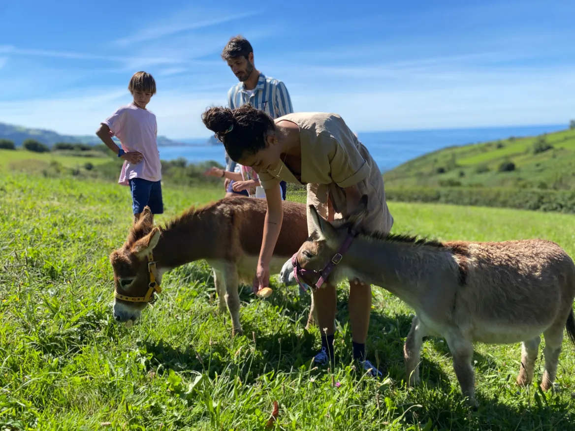 Hiking in Zarautz