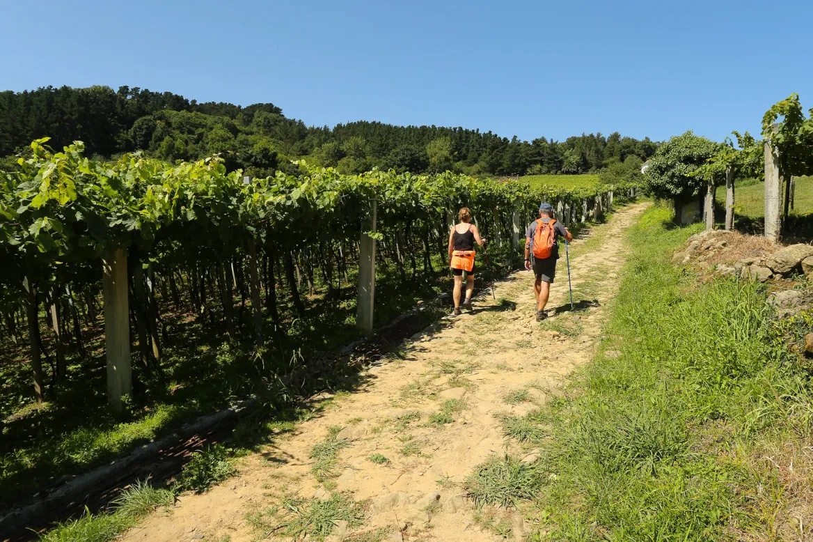 Hiking in Zarautz