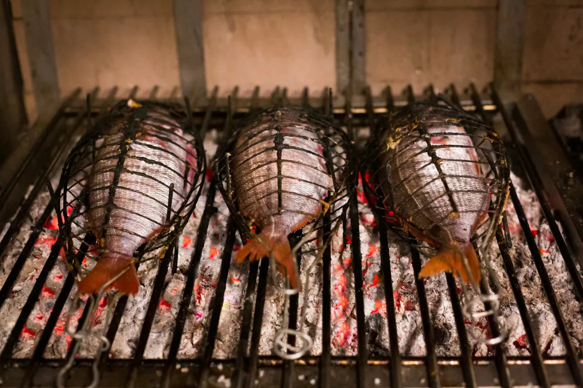 Grilled fish