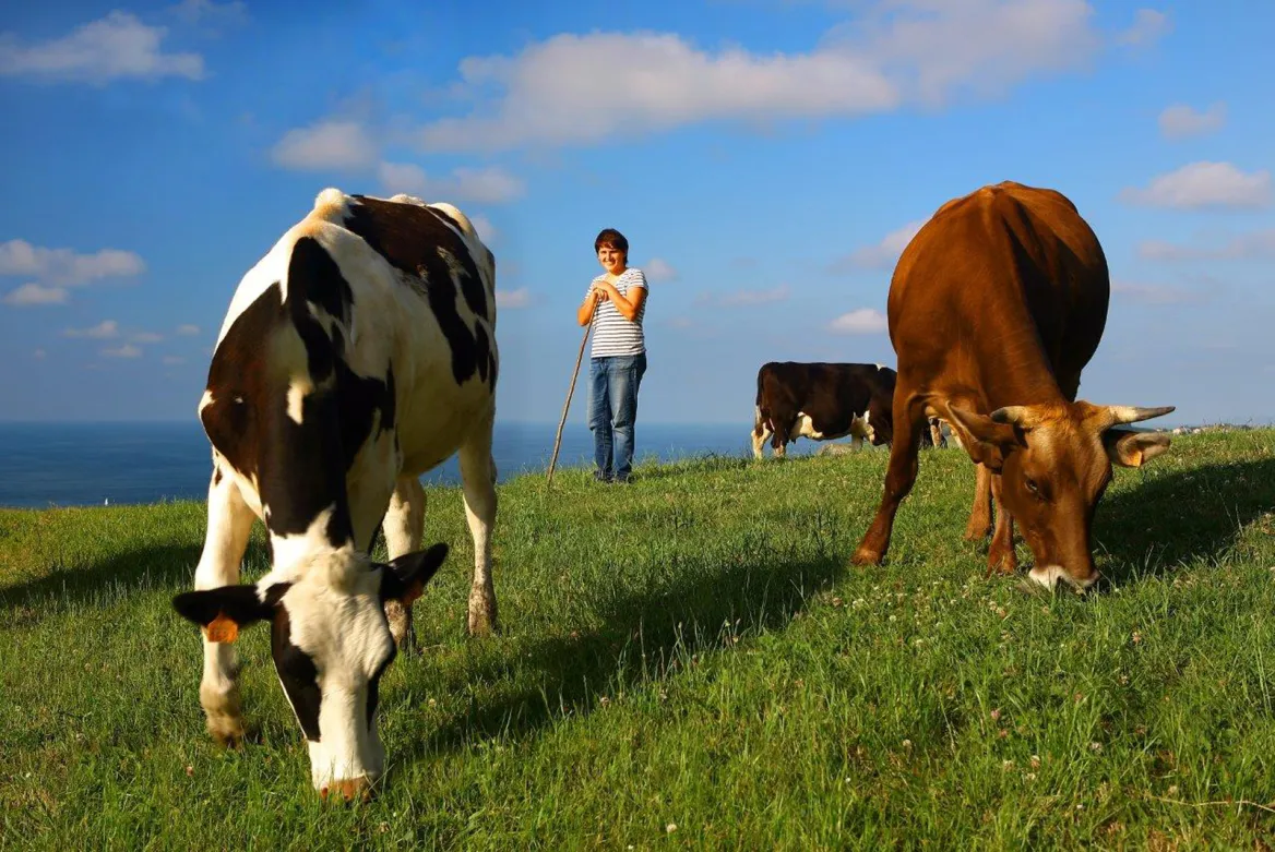 Nekatur vacaciones en casa rural