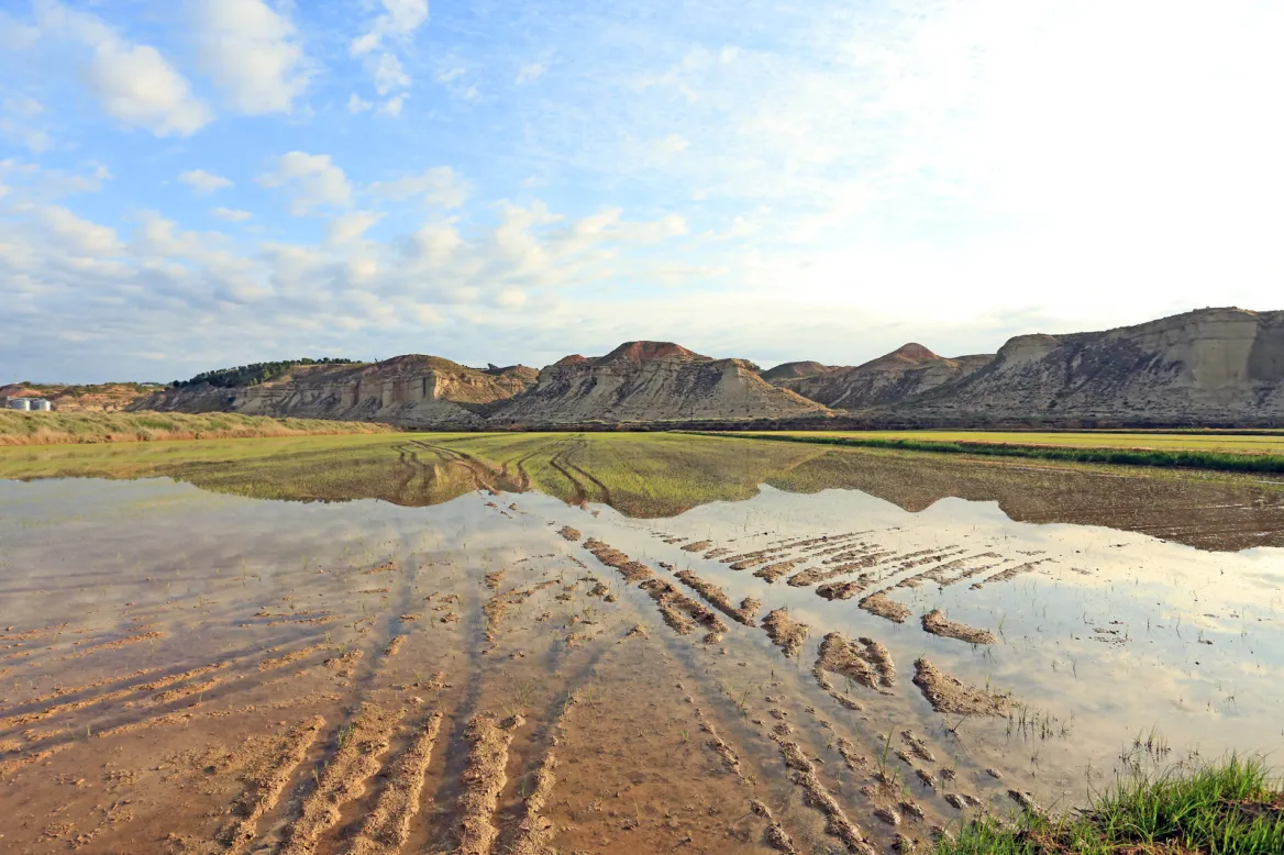Bardenas Reales