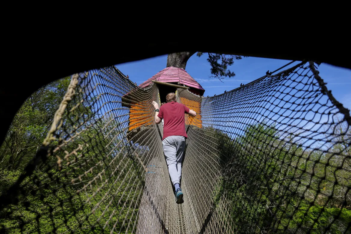 Wow Park Net Climb