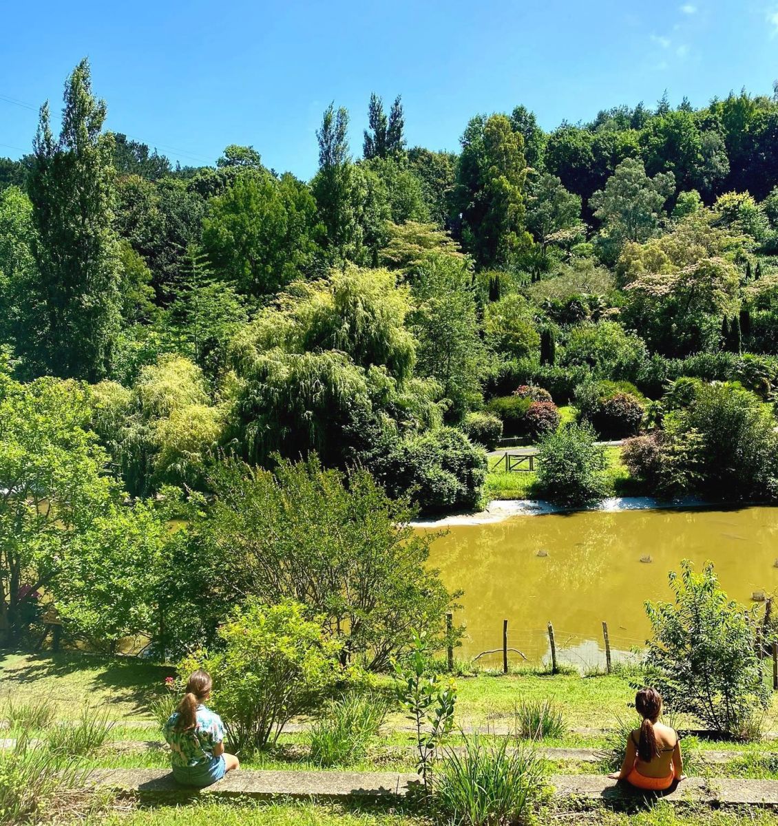 Wow Park lake and nature