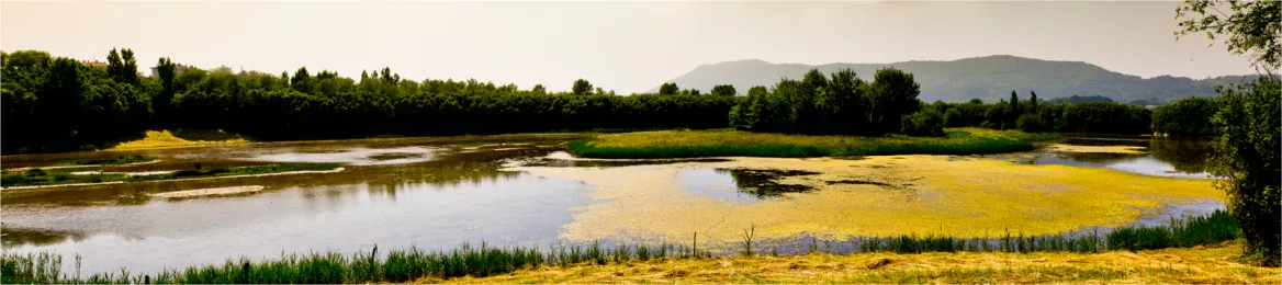 Txingudi