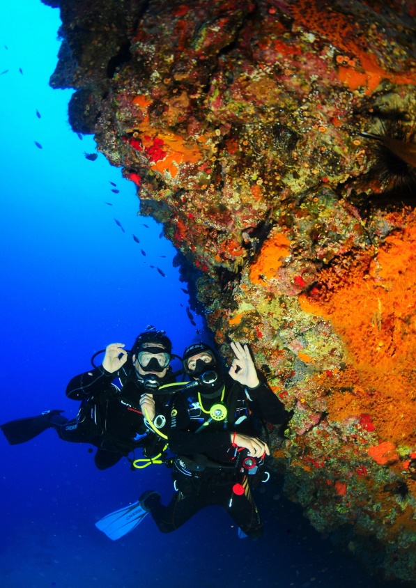 Diving Hondarribia