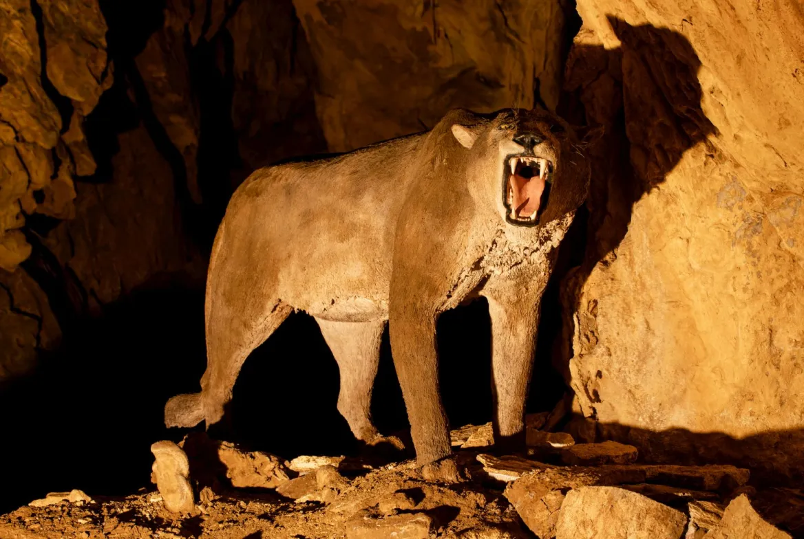 Arrikrutz Cave