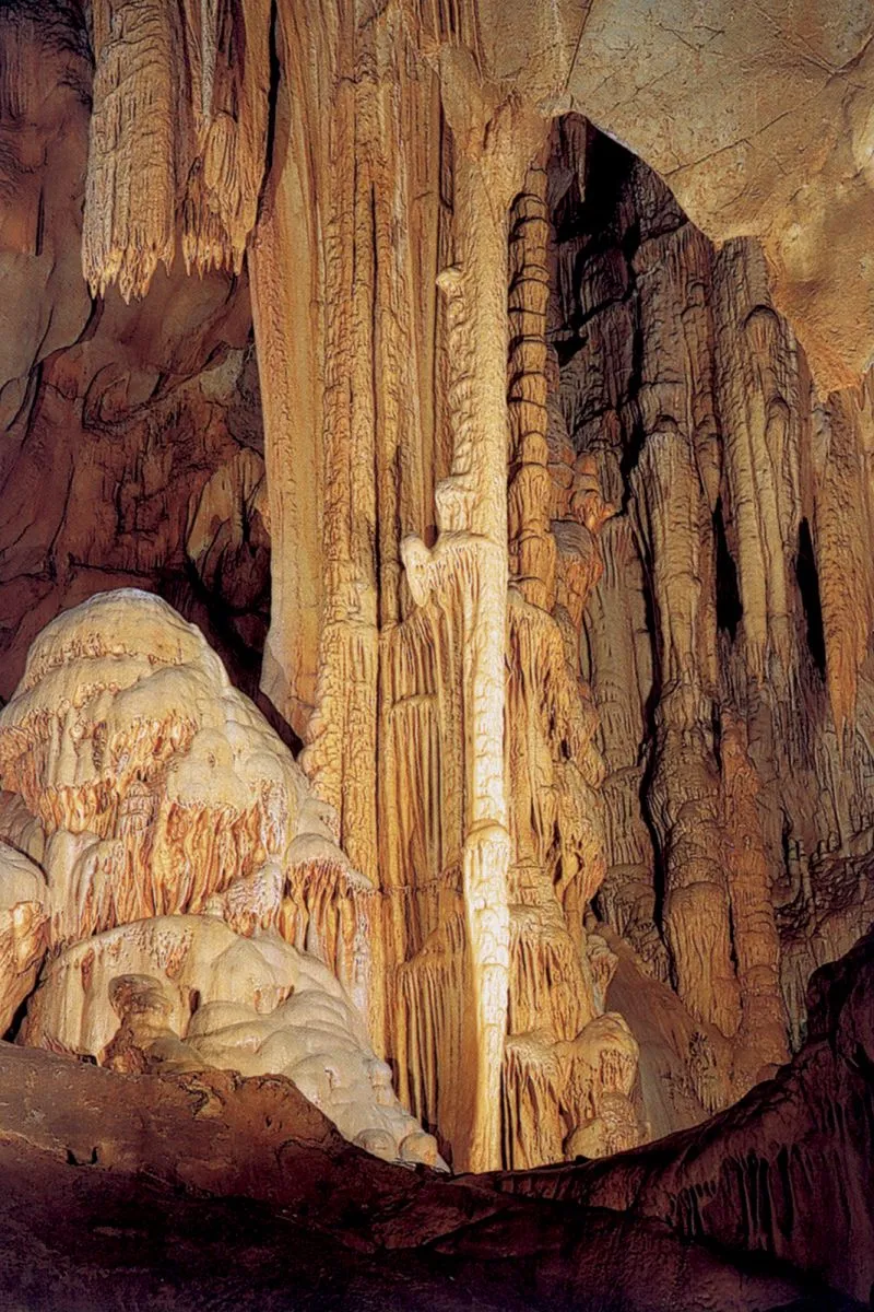 The caves of Isturitz and Oxocelhaya