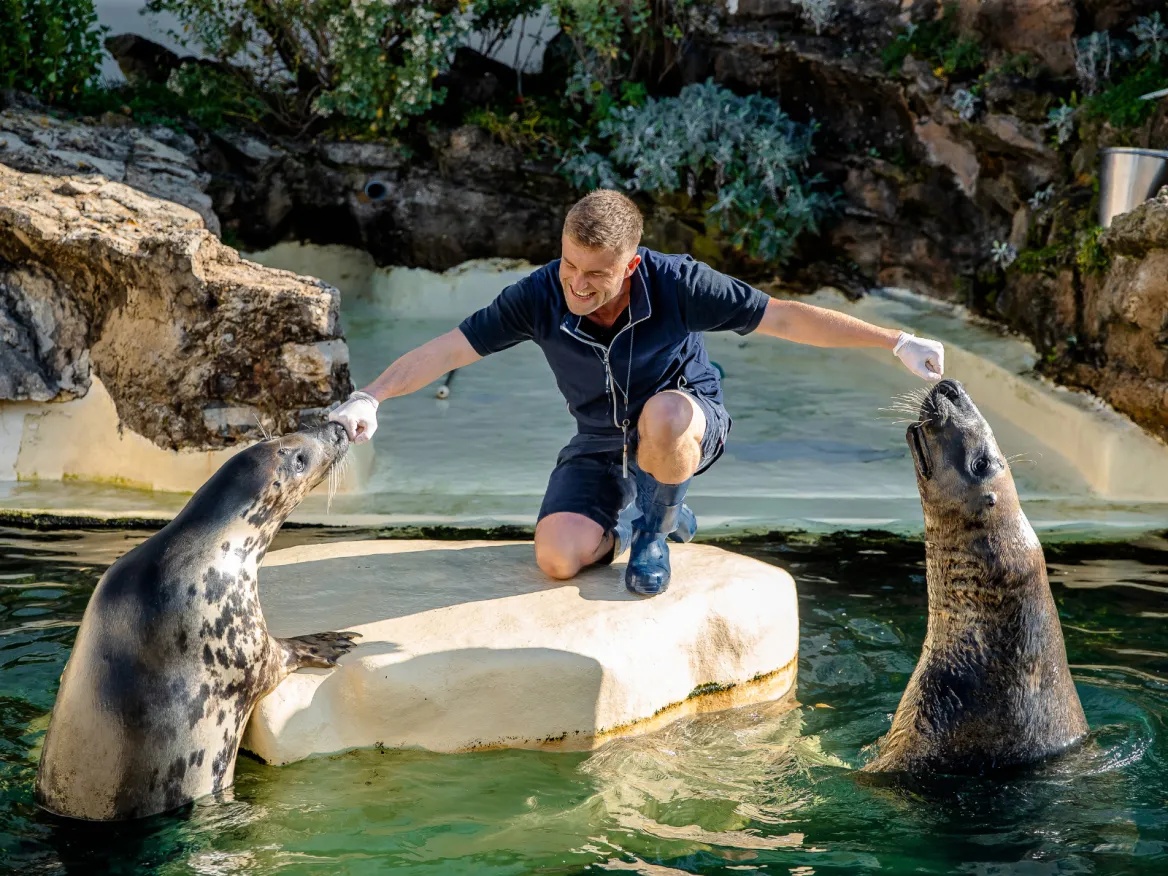 Biarritz Aquarium