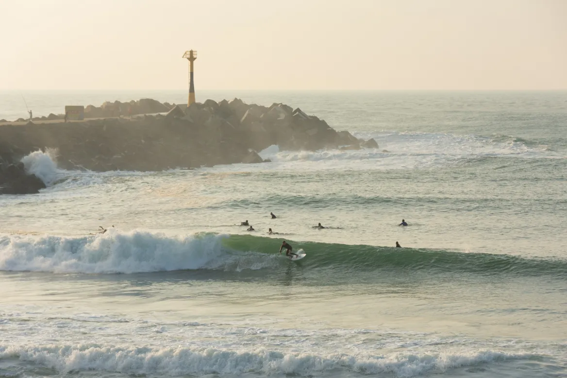 Surfing in Anglet Photo: AdobeStock_HJBC