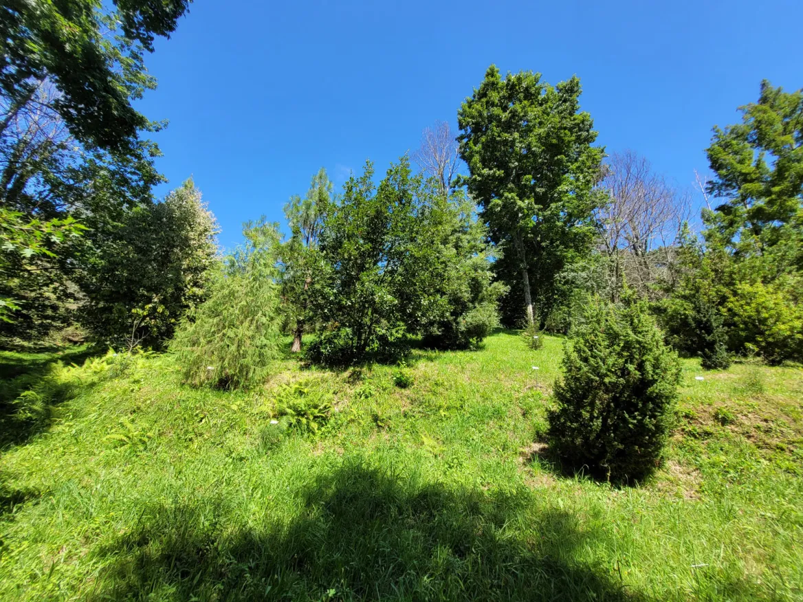 Botanical Garden