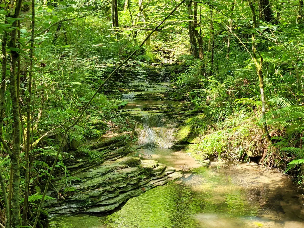 Pagoeta Park