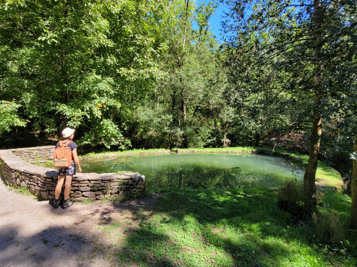 Pagoeta Park