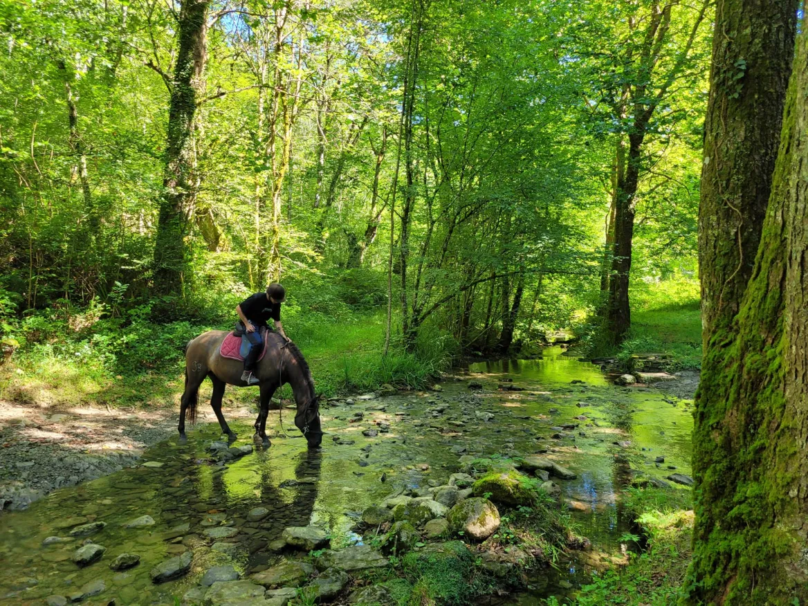 Pagoeta Park